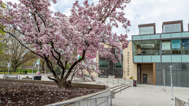 student services centre with magnolias in foreground